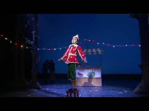 La mia notte dei miracoli - Musical Pinocchio