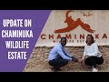 Update on Chaminuka Wildlife Estate