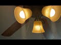 Ceiling Fans In My House Running On All Speeds 3