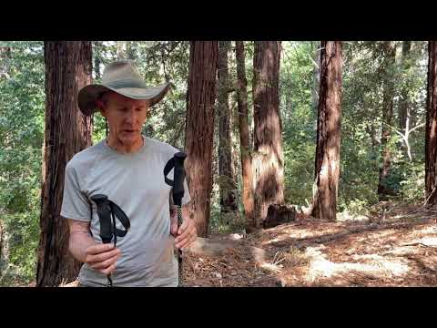 Hiking pole straps