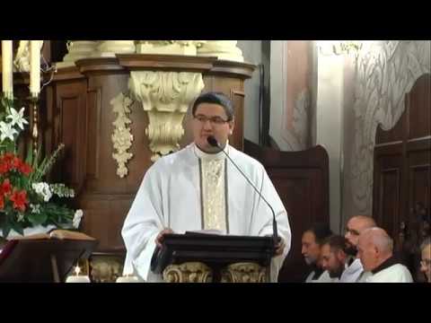 Msza święta o uzdrowienie Toruń Franciszkanie o. Błażej Sekula OFM 28.08.2014