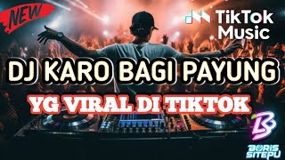 Download lagu DJ KARO BAGI PAYUNG VIRAL TERBARU 2025 [ BORIS SITEPU ] mp3