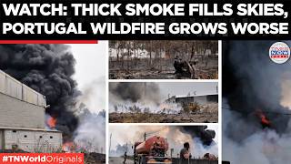 PORTUGAL WILDFIRE: Vouzela Inferno Rages Into Third Day; 1,200 Firefighters Battle Massive Blaze