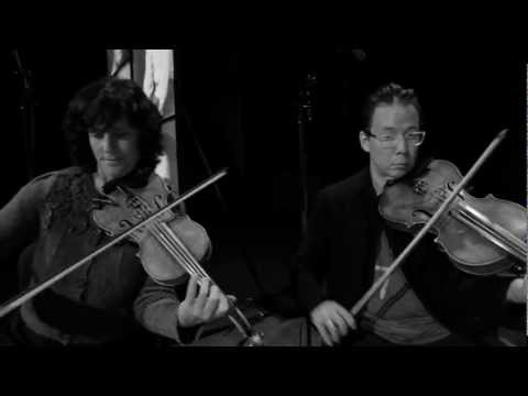 Bill Frisell / 858 Quartet - Arkansas Pt. 2