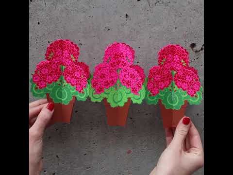 Cheerful Geranium Pop-Up Note Cards - Set of 6