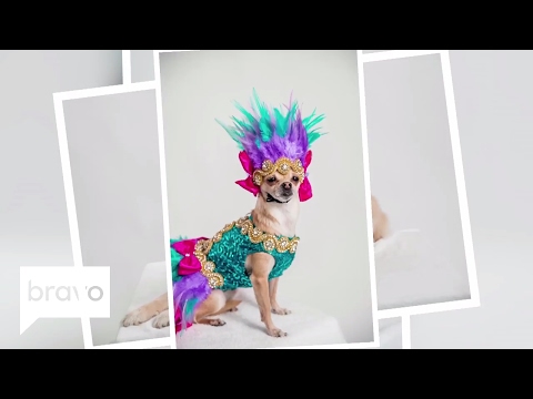 Furry, Fierce, and Fabulous: Bettie Enters Diva Territory (Episode 3) | Bravo