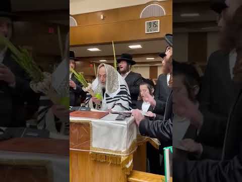 Rabbi Michel Twerski, aka the Milwaukee Rebbe, on Hoshana Raba 5783