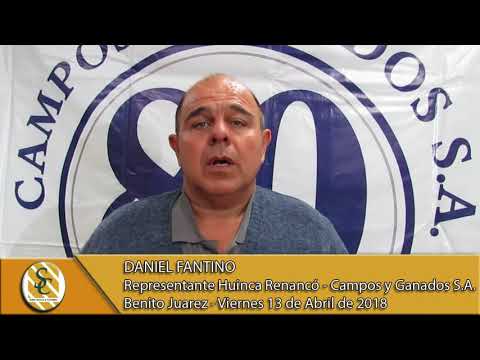 13-04-18 Nota Daniel Fantino - Campos y Ganados S.A. - Benito Juarez.