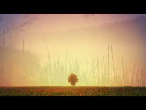 NOU!!! Fratii Strugariu - Toate marginile lumii (ALBUM 2018)