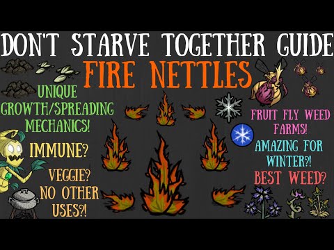 Don't Starve Together Guide - Fire Nettles/Weed Farms