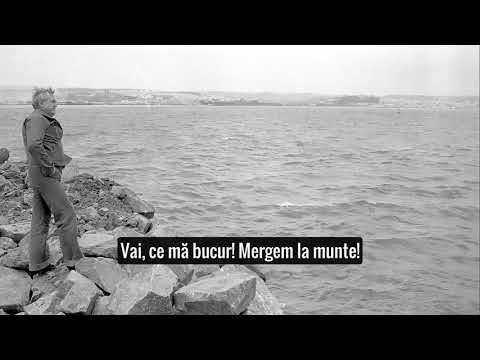 RECAPITULARE LA VACANȚA MARE cu Dem Rădulescu 🎭 Teatru Radiofonic Subtitrat