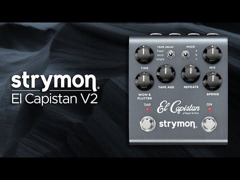 Strymon El Capistan V2 Sound Demo (no talking) with Twisted Electrons MEGAfm Synthesizer
