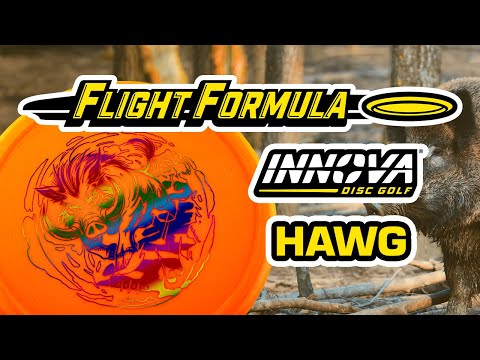Flight Formula: Innova Hawg
