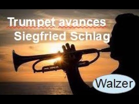 Trumpet avances - Cover gespielt von Siegfried Schlag auf Tyros3