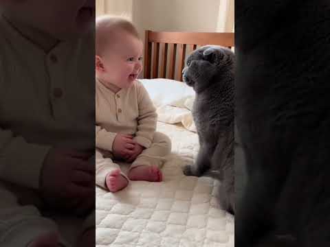 kedi ile bebegin harika dostluğu #cat #baby #cutebaby #cute #shorts