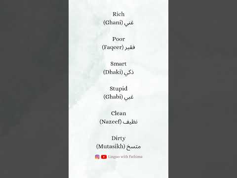 Learn Basic Arabic Words for Beginners | Start Speaking Arabic Today !