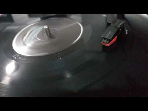 Dj Vitamin D - Nsd Project