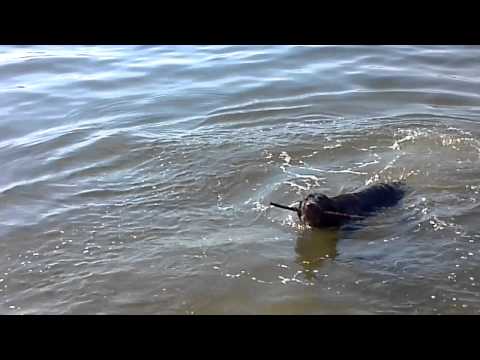 Jaina at the beach!!
