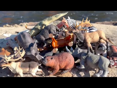 30+ Wild Zoo Animal Toys! 🐘🦁 Massive Animal Collection & Learning Names for Kids & Toddlers!