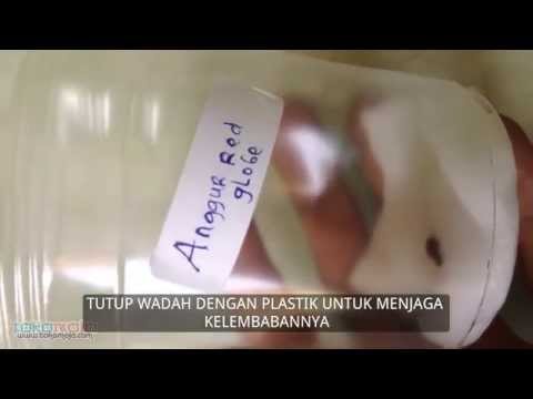 Potensi lemah dengan usia Gadis bersemangat dan celana