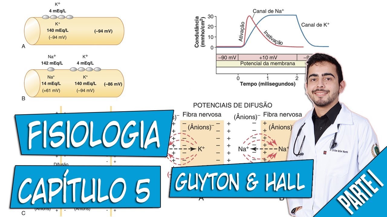 Fisiologia - Potenciais de Membrana e Potenciais de Ação (Capítulo 5) PARTE 1