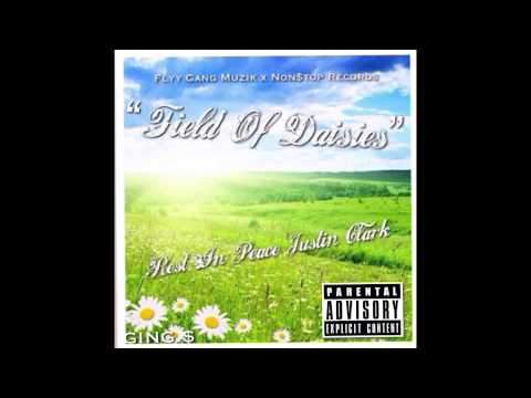 N$ x FGMG Ging.$ - Field Of Daisies