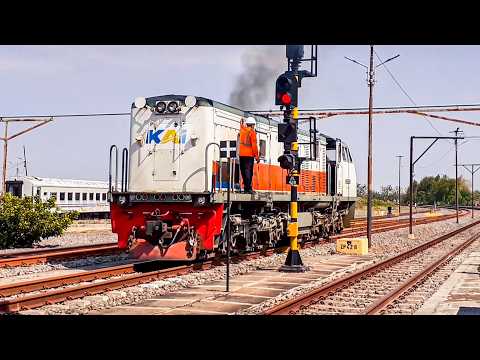 🚂🔥 MASSIVE SWITCHING! Intercity Train Journey, Fast Meets & Yard Action