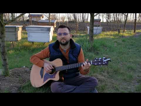 🎸 Marian Barbieru - Tot ce sunt, sunt prin harul Său (guitar fingerstyle) [4K]