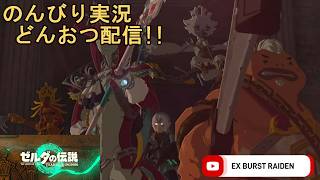 どんおつ配信「ゼルダの伝説 ティアーズオブザキングダム」29