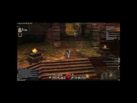 Mr. Wipe und sein Freund / Guildwars 2