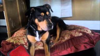 The Idle Hours - Pinky&#39;s Song