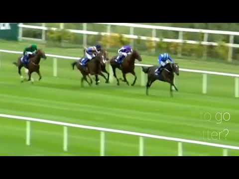 Dubai duty free Irish Derby