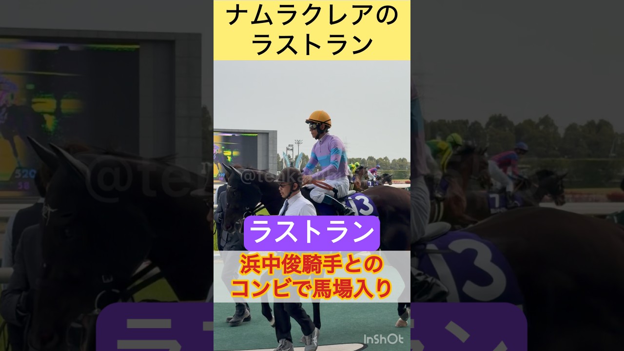 ナムラクレアのラストランは浜中俊騎手とのコンビ #shorts #short #ナムラクレア  #浜中俊