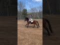 A few days ago, me and Rex working on cantering