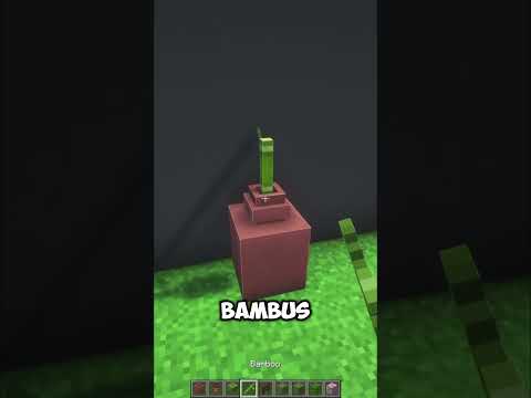 4 Pflanzen Designs in Minecraft #minecraft #shorts