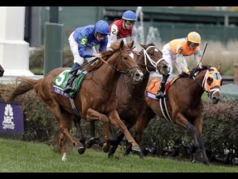 Breeders' Cup Juvenile Turf (G1) 2018 -  Line Of Duty