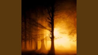 Gaden of Shadows (Demo)