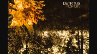 Detritus - Dead Daffoldils