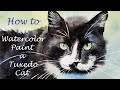How To Paint A Tuxedo Cat The Best Mix For Black Watercolor How To Paint Black Cat Fur
