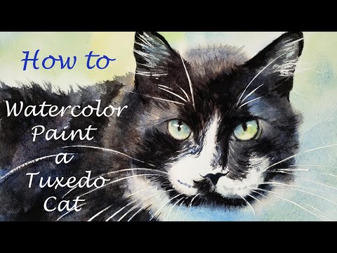 How to Paint a Tuxedo Cat - the best mix for black watercolor - how to paint black cat fur