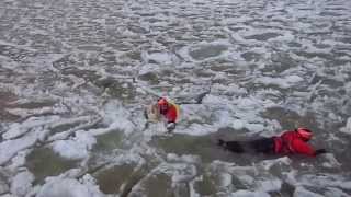 preview picture of video 'Labrador rescued from ice by USCG Frankfort, Michigan'