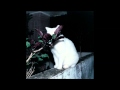 FUJIN CLUB (Minami Kitasono Remix) by FUJIN CLUB