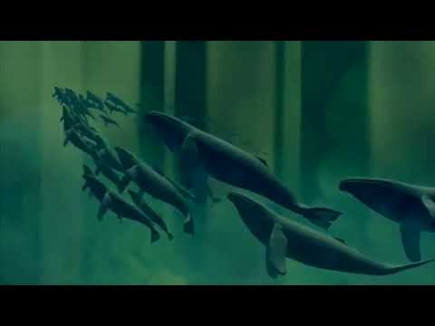 The little mermaid non/disney crossover Opening Scene ( Sneak Peak)