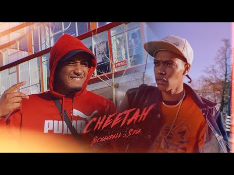 Richandell - Cheetah ft. S'dia (Prod. Richandell) (Visualizer)