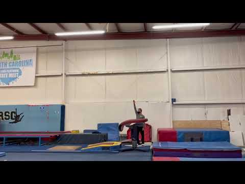 Hannah Stallings ~ 9.550 Vault #1 ~ NAWGJ Judges Cup 2021