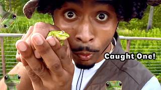 ASMR Nature Adventure: Catching Frogs & Lizards in Houston Everglades 🐸🦎 | Sleep & Relax Sounds