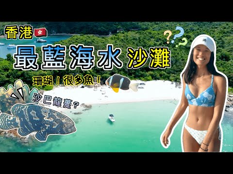 香港🇭🇰唯一藍色海水沙灘⁉️| 玻璃水| 自由潛水 | 浮潛打卡 | 香港秘境 | 香港好去處 | 蠄蟧灣 | 大蛇灣