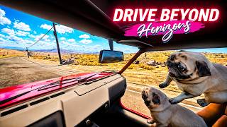 Drive Beyond Horizons - Double Dogs!