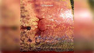 Rapoon - Cires Divam