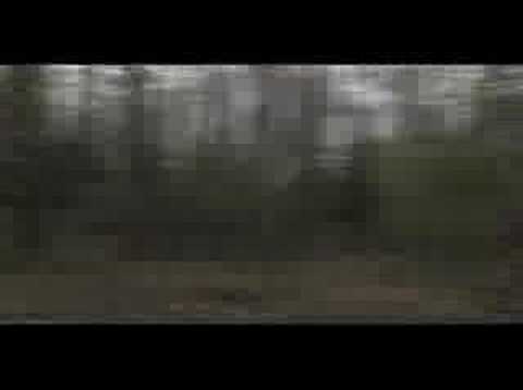 (Nice Dream) - Radiohead Music Video by fan